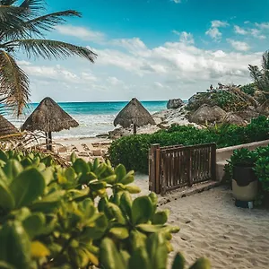 La Conchita (adults Only) **** Tulum Pueblo